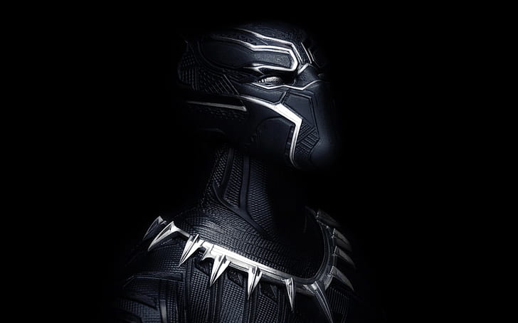 Maske, Rüstung, Schwarzer Panther, HD-Hintergrundbild