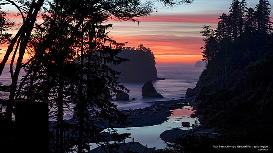 Ruby Beach, Olimpik Ulusal Park, Washington, Plajlar, HD masaüstü duvar kağıdı HD wallpaper