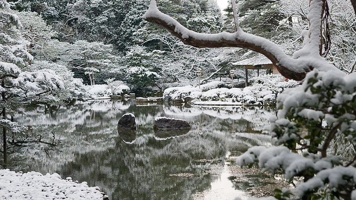 snowy, snow, winter, tree, lake, reflection, branch, freezing, plant, frost, landscape, heian shrine, pond, kyoto, japan, asia, HD wallpaper