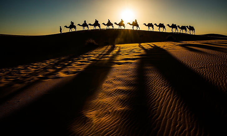 写真、キャラバン、ラクダ、砂漠、 HDデスクトップの壁紙