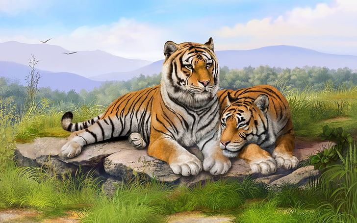 цифровое искусство, дикая кошка, живопись, бенгальские тигры, HD обои
