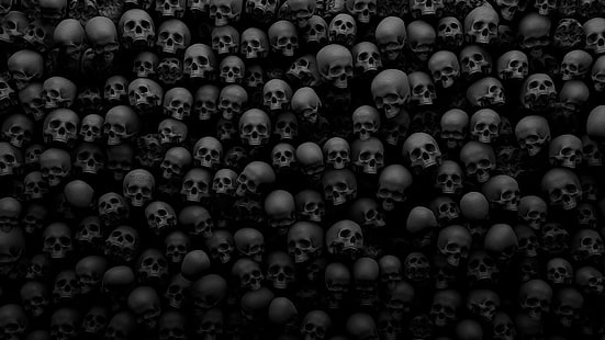skulls wallpaper, skull, monochrome, HD wallpaper HD wallpaper
