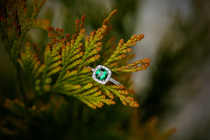 srebrny pierścionek z zielonym kamieniem, pierścionek, kamień, roślina, Tapety HD