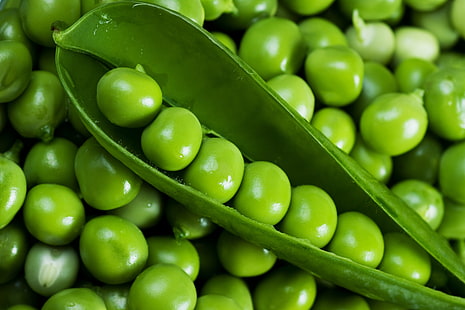 grüne Bohnen viel, Tisch, Hülse, Erbsen, Erbsen, HD-Hintergrundbild HD wallpaper