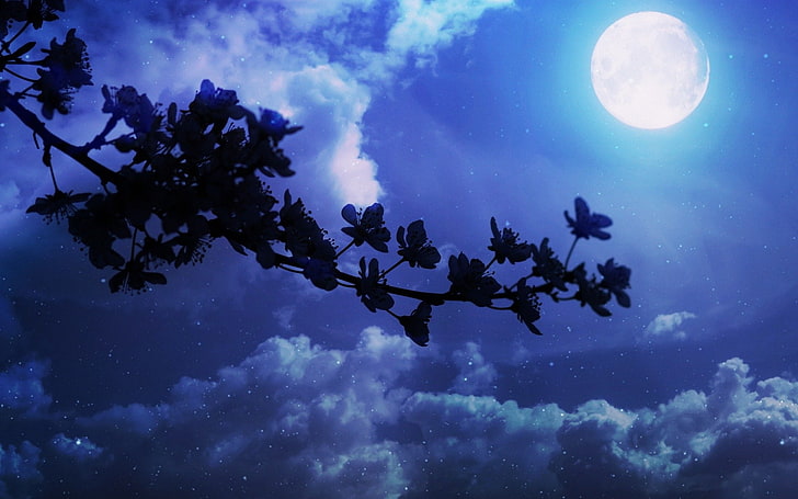 Fleurs, Blossom, Artistique, Bleu, Fleur de cerisier, Nuage, Fleur, Lune,  Fond d'écran HD | Wallpaperbetter
