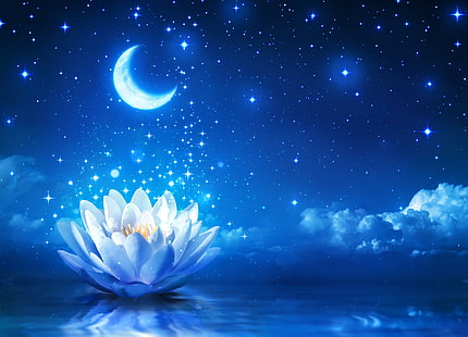 القمر سماء الليل زهور اللوتس النجوم، خلفية HD HD wallpaper