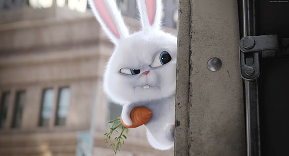 토끼, 만화, 애완 동물의 비밀 생활, 2016 년 최고의 애니메이션 영화, HD 배경 화면 HD wallpaper