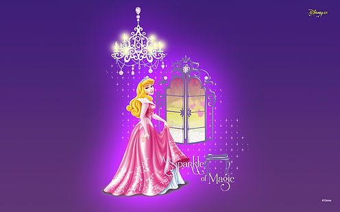 Välklädd prinsessa, prinsessa, Disney, HD tapet HD wallpaper