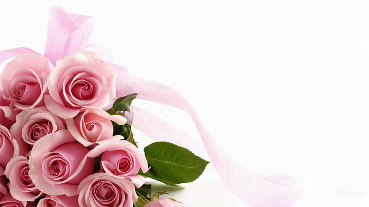 Розовые розы навсегда, персона Firefox, лента, букет, розовые розы, день Святого Валентина, 3d и аннотация, HD обои
