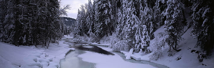 pemandangan, es, sungai, salju, hutan, alam, Wallpaper HD
