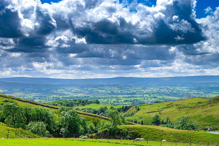 green field with animals under cloudy sky during day time, ingleton, ingleton, Hills, Ingleton, Waterfalls, green field, animals, cloudy, sky, day, time, 10f, Nikon D5300, 8G, landscape, lancashire, Clouds, blue  Green, Green  grass, Walk, nature, hill, summer, rural Scene, scenics, outdoors, cloud - Sky, europe, green Color, mountain, meadow, tree, blue, forest, field, HD wallpaper