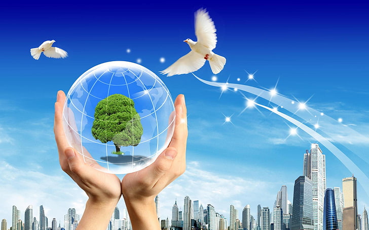 Gorgeous Green Energy, hands holding globe with tree wallpaper, Art And Creative, HD wallpaper