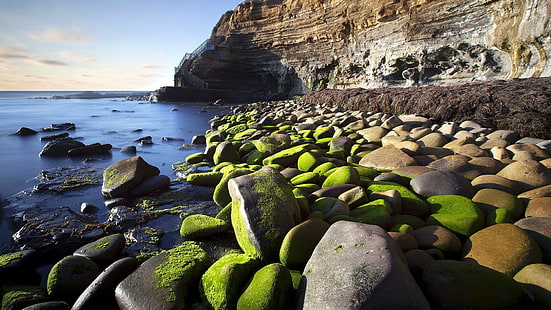 пляж, утес, мох, природа, скалы, море, камень, HD обои HD wallpaper