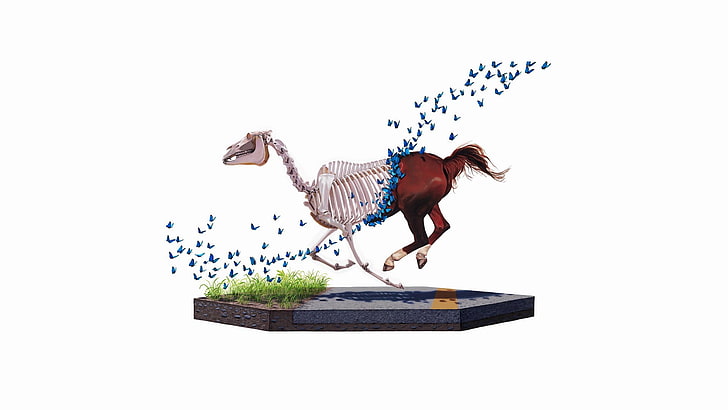 horse skeleton illustration, white background, digital art, animals, butterfly, grass, skeleton, skull, running, bones, horse, HD wallpaper