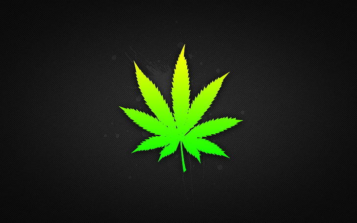 liście konopi, liście, chwasty, marihuana, Tapety HD