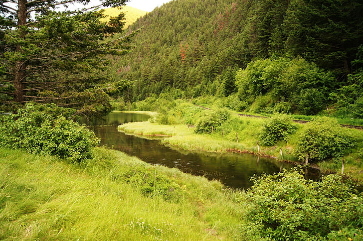 Kanada, See, grüner Wald nahe Gewässer, Kanada, See, Wald, Berge, Eisenbahn, Grüns, Pear See, HD-Hintergrundbild