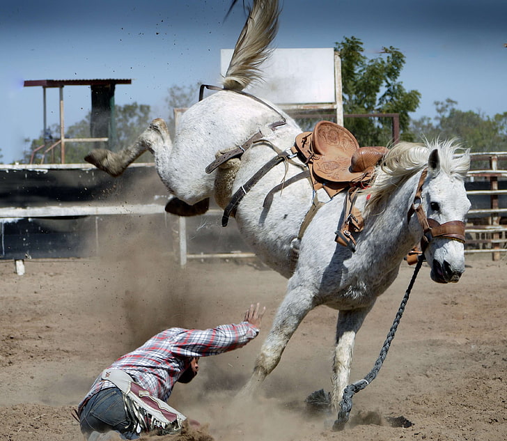 accident, action, animal, bronco, bucking, cowboy, equine, fall, horse, horse riding, injured, male, motion, person, rider, riding, rodeo, saddle, sand, sport, white horse, wild, HD wallpaper
