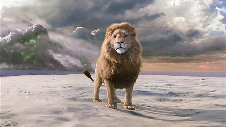 Film, Le cronache di Narnia: Il leone, la strega e l'armadio, Leone, Le cronache di Narnia: Il leone la strega e l'armadio, Sfondo HD