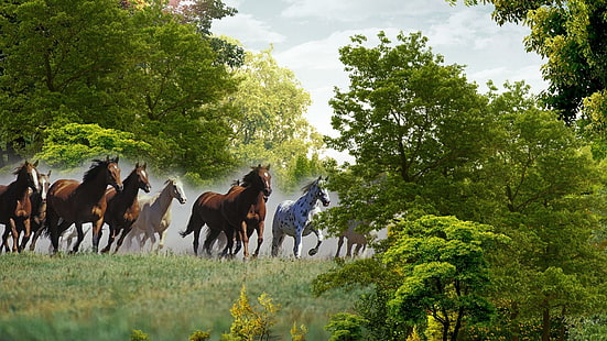 Esecuzione di cavalli, alberi, mandria, cavalli, campagna, campo, fattoria, erba, animali, Sfondo HD HD wallpaper