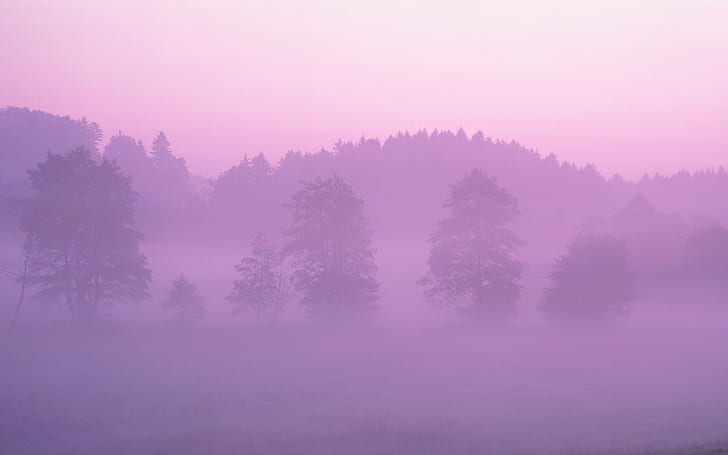 natura, nebbia, alberi, cielo viola, paesaggio, Sfondo HD