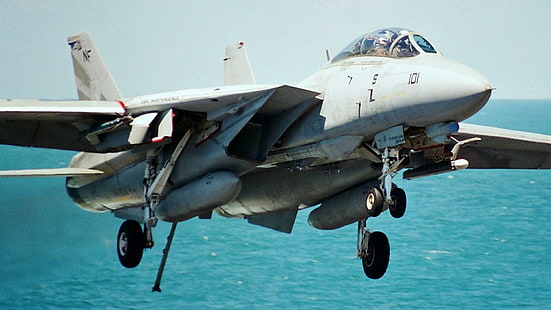 F14 Tomcat, militar, decklanding, tomcat, caza, aviones, Fondo de pantalla HD HD wallpaper