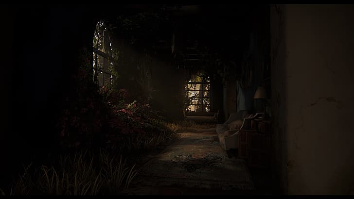 The Last of Us 2 ، Naughty Dog، خلفية HD
