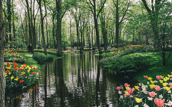 Holandia, jezioro, ogród, park, Tapety HD