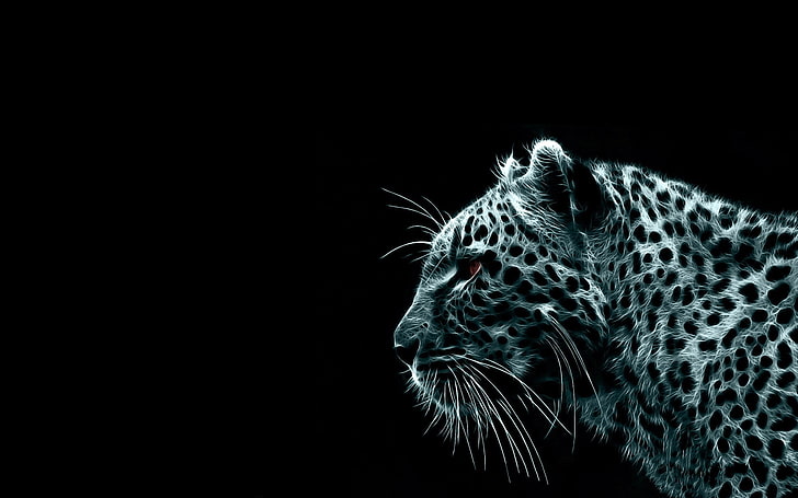 Gepard Tapete, Katzen, Leopard, HD-Hintergrundbild
