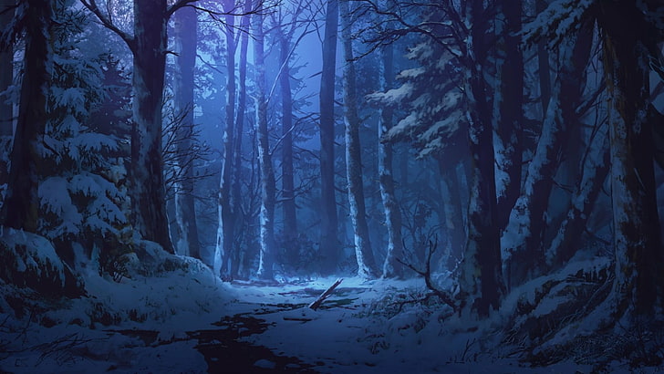 natur, skog, vinter, skymning, natt, skog, snö, mörker, träd, HD tapet