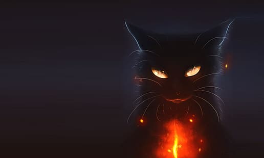 Katze, Nacht, Feiertag, Kunst, Halloween, HD-Hintergrundbild HD wallpaper