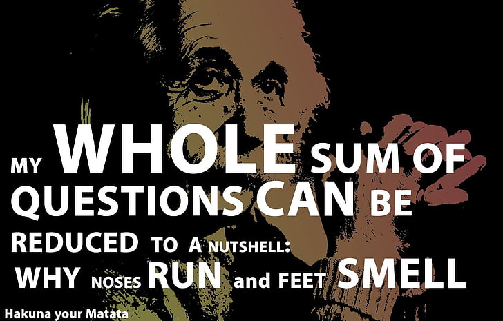 My Whole Sum of Questions can be reduced to a nutshell: why noses run and feet smell text, Albert Einstein, Smart, HD wallpaper