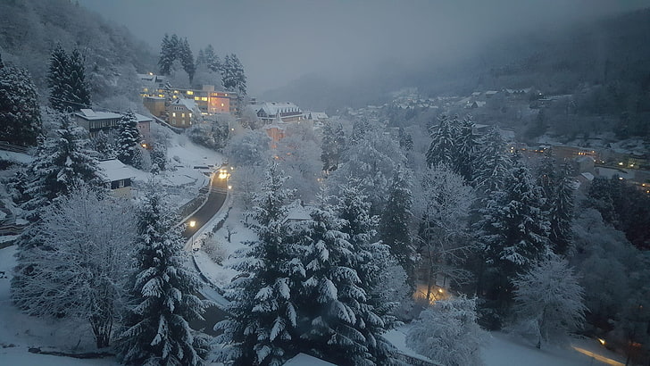 Nebel, Wald, Licht, Berg, Nacht, Schnee, Dorf, Winter, HD-Hintergrundbild