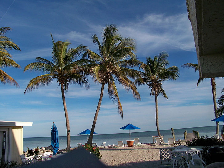 플로리다 해변, HD 배경 화면