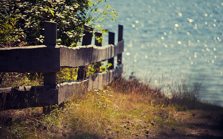 Fence HD, nature, fence, HD wallpaper