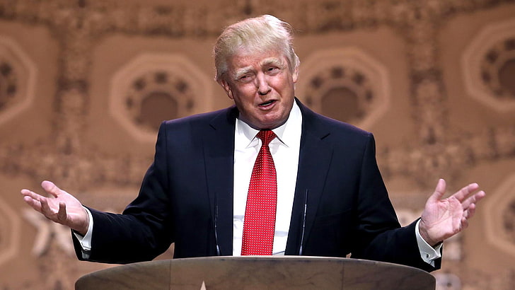 Donald Trump, donald trump, empresário, homens, desempenho, HD papel de parede