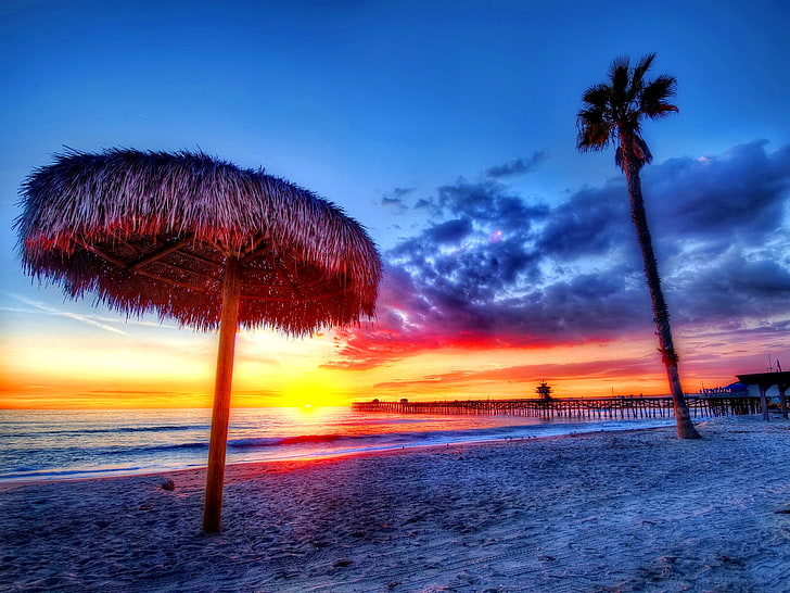 cocotier, plage, tropiques, mer, sable, palmiers, coucher de soleil, belle, Fond d'écran HD