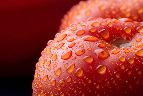 roter Apfel, Wassertropfen, Lebensmittel, Makro, Tomaten, Gemüse, Nahaufnahme, HD-Hintergrundbild HD wallpaper