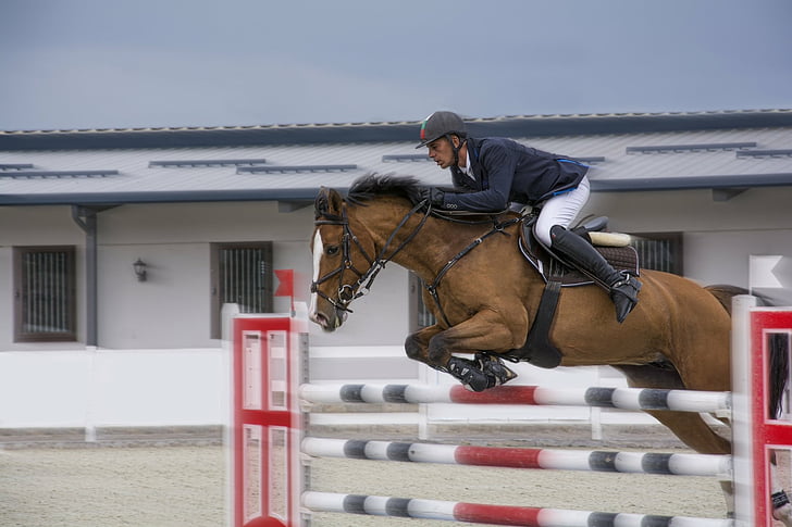 Sports, Show Jumping, Equestrian, Horse, Jump, Motion Blur, Sport, HD wallpaper