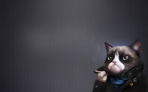 gatto grigio e bianco che tiene carta da parati sigaretta, arte, gatto scontroso, salsa tardar, umorismo, Sfondo HD HD wallpaper