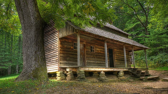 Cabaña de madera desierta en el bosque, cabaña de madera marrón, naturaleza, 1920x1080, árbol, bosque, cabaña, verano, Fondo de pantalla HD HD wallpaper