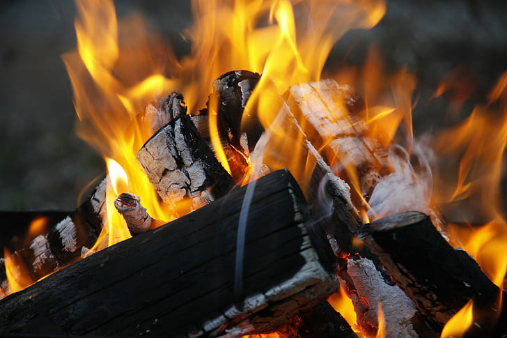 Burning wood, background, miscellaneous, fire, Nature, burning wood, wood, HD wallpaper