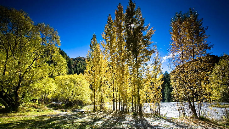 애로우 타운 가을 신열, 태양 빛, 녹색, 일몰, 애로우 타운, 나무, 파랑, 일출, 뉴질랜드, 가을, 3D 및 초록, HD 배경 화면