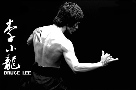 Bruce Lee, Sport, Schauspieler, Legende, Bruce Lee, Karate, Kun-up, Jeet, Idol, HD-Hintergrundbild HD wallpaper