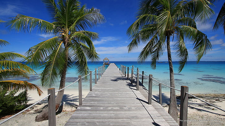 Pier and Palms, Fakarava, Polinesia Francesa, Islas, Fondo de pantalla HD