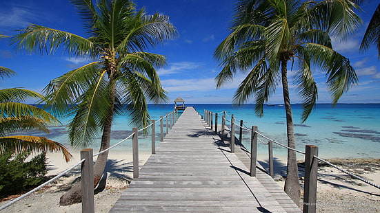 Pier and Palms, Fakarava, French Polynesia, Islands, HD wallpaper HD wallpaper
