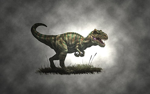 ديناصور رمادي ، حيوانات ، ديناصورات ، تي ريكس ، طبيعة ، رسم ، عمل فني ، بساطتها، خلفية HD HD wallpaper