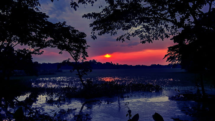sunset, wetland, red sky, dusk, evening, landscape, silhouette, darkness, HD wallpaper