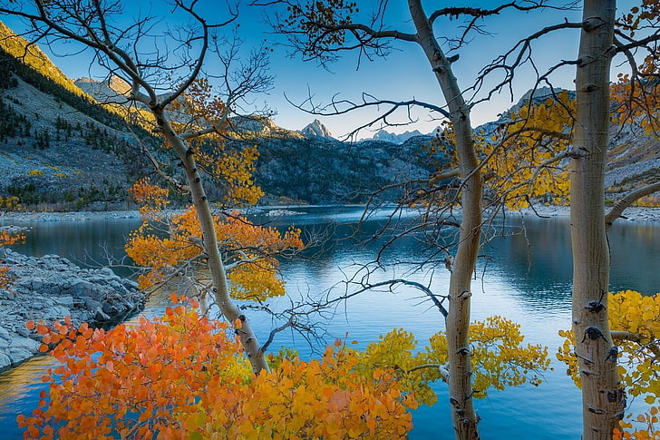 أشجار أوراق البرتقال ، التصوير الفوتوغرافي ، الطبيعة ، المناظر الطبيعية ، البحيرة ، الجبال ، الأشجار ، الخريف ، الصباح ، ضوء الشمس ، المياه الهادئة ، كاليفورنيا، خلفية HD