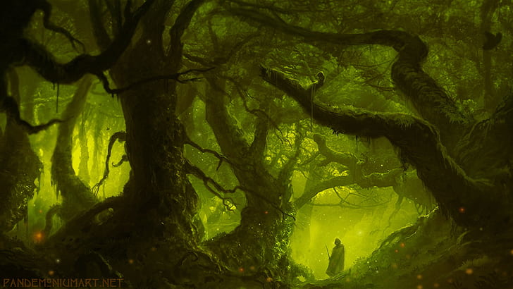 Forest HD, green leaf tree illustration, fantasy, forest, HD wallpaper