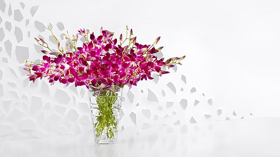 bunga, bunga merah muda, bunga potong, Budidaya Bunga, daun bunga, flora, desain bunga, karangan bunga, magenta, vas, anggrek, anggrek, Wallpaper HD HD wallpaper